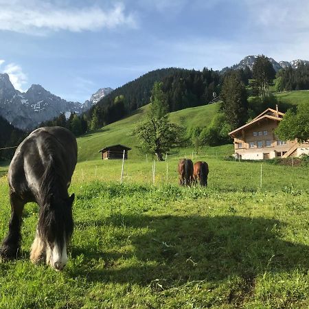 Au Pre Des Chevaux Acomodação com café da manhã Chateau-d'Oex Exterior foto