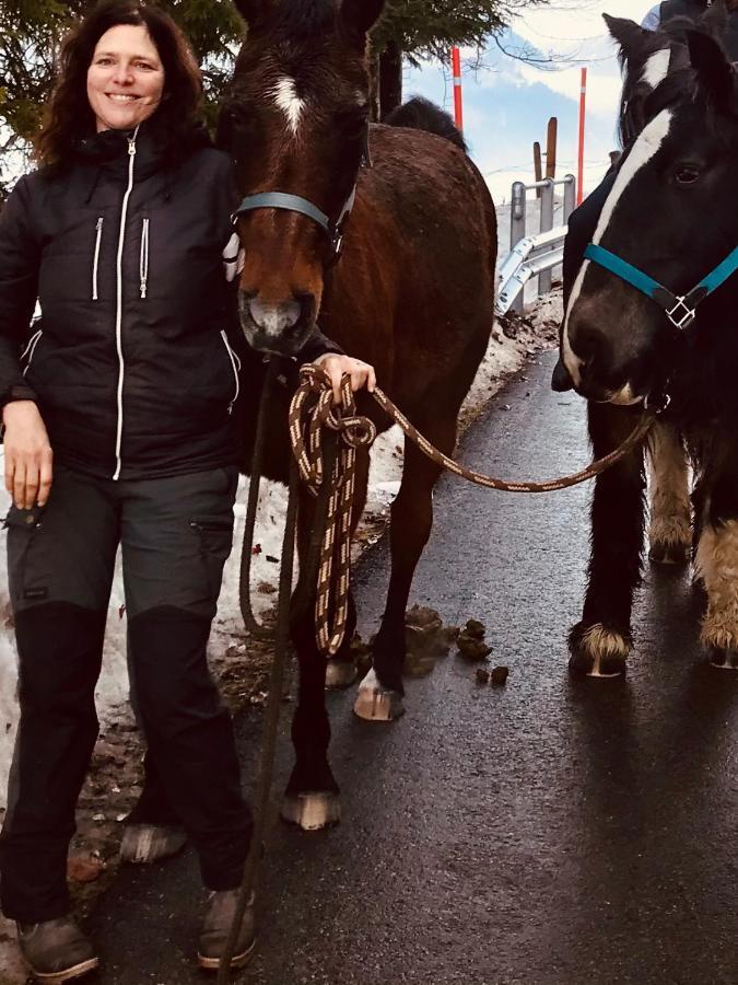 Au Pre Des Chevaux Acomodação com café da manhã Chateau-d'Oex Exterior foto