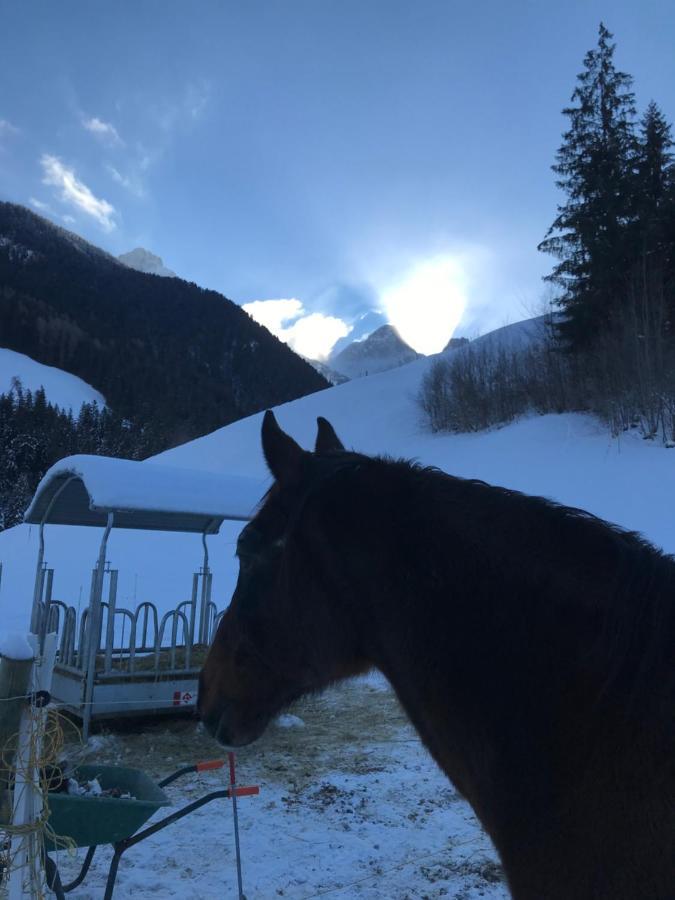Au Pre Des Chevaux Acomodação com café da manhã Chateau-d'Oex Exterior foto