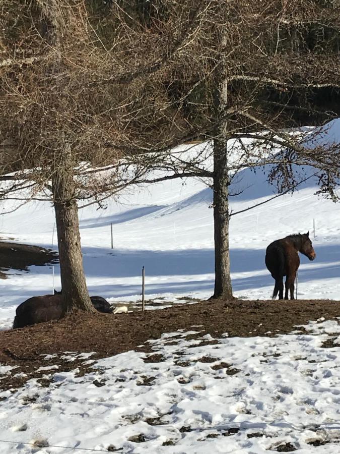 Au Pre Des Chevaux Acomodação com café da manhã Chateau-d'Oex Exterior foto
