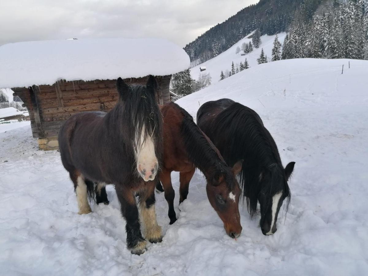 Au Pre Des Chevaux Acomodação com café da manhã Chateau-d'Oex Exterior foto
