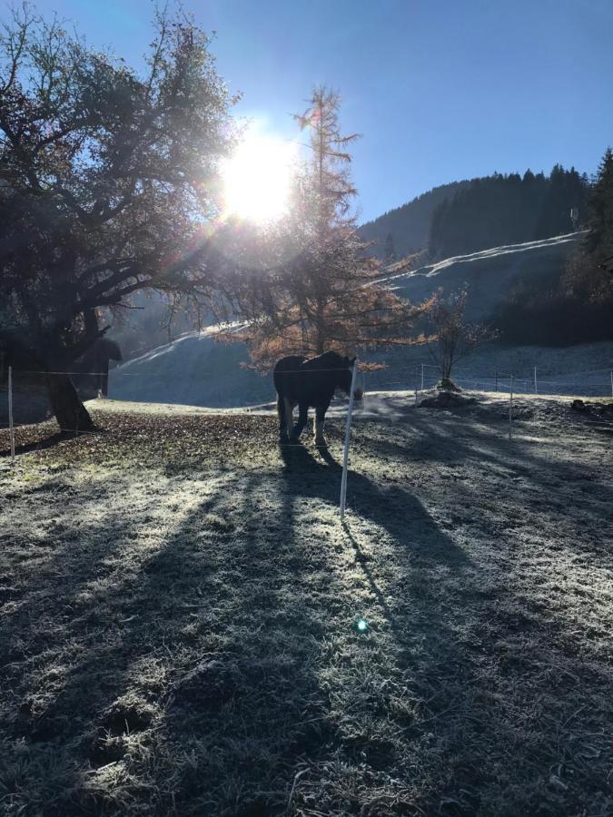 Au Pre Des Chevaux Acomodação com café da manhã Chateau-d'Oex Exterior foto