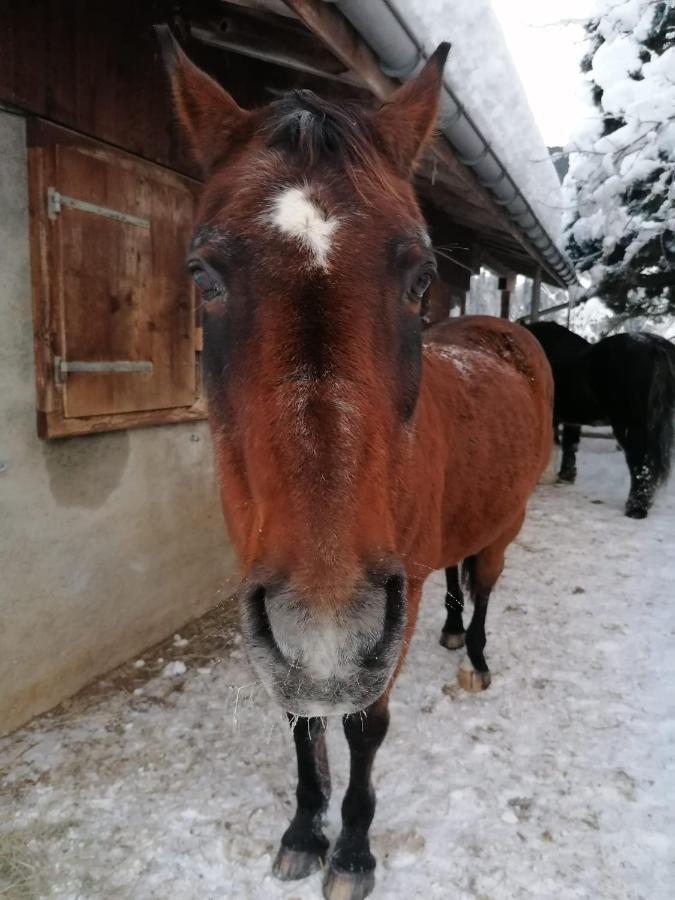 Au Pre Des Chevaux Acomodação com café da manhã Chateau-d'Oex Exterior foto