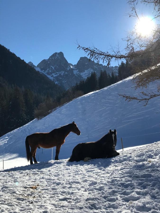 Au Pre Des Chevaux Acomodação com café da manhã Chateau-d'Oex Exterior foto