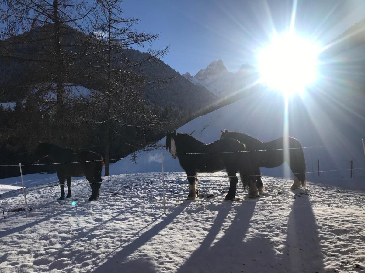 Au Pre Des Chevaux Acomodação com café da manhã Chateau-d'Oex Exterior foto