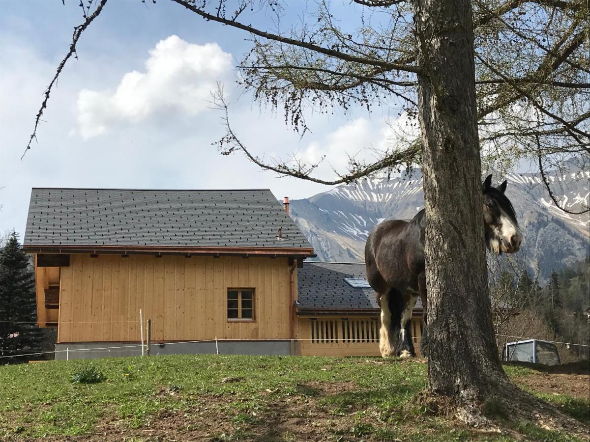 Au Pre Des Chevaux Acomodação com café da manhã Chateau-d'Oex Exterior foto